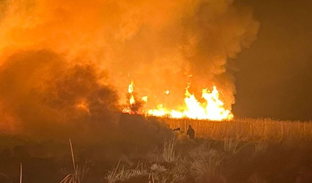 Hakkari'de kuş cennetinde yangın