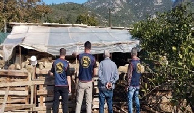 Germencik’te çalınan hayvanlar bulunarak sahibine teslim edildi