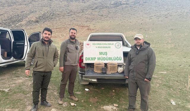 Kafes avcılığı yapan şahıs suçüstü yakalandı: 20 bin TL ceza