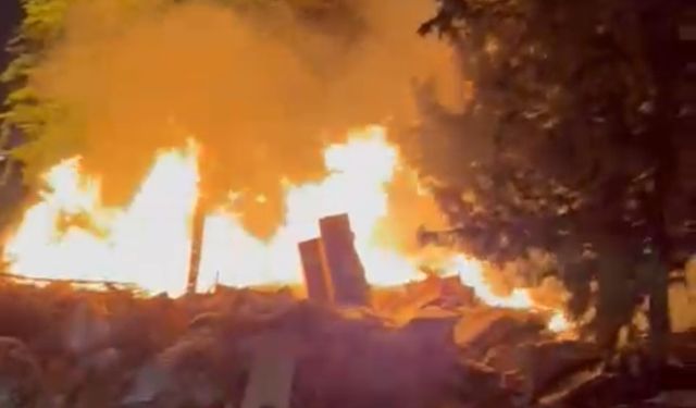 Adana’da düşen yıldırımlar yangına neden oldu