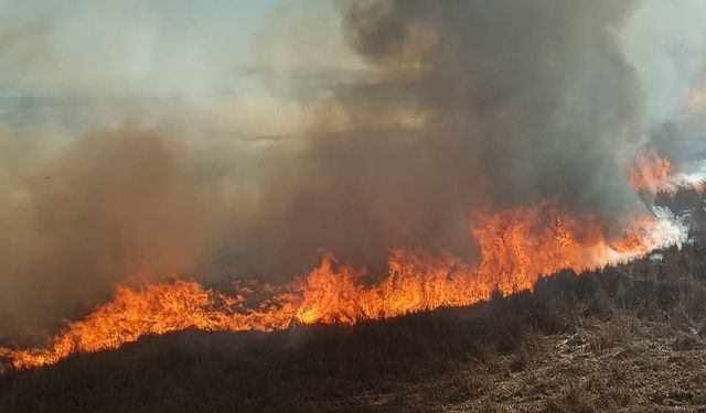 Beyşehir’de sazlıklar alev alev yandı