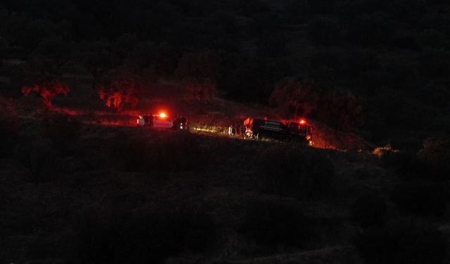 Bozdoğan yangını büyük ölçüde kontrol altına alındı