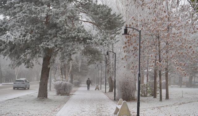 Erzurum güne sis ve kırağı ile uyandı
