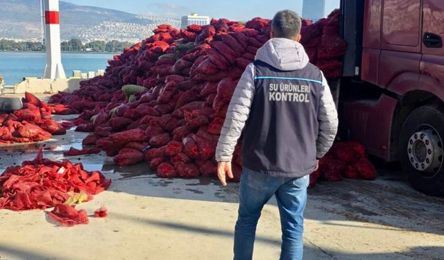 İzmir'de kaçak avlanan 27 ton midye ele geçirildi