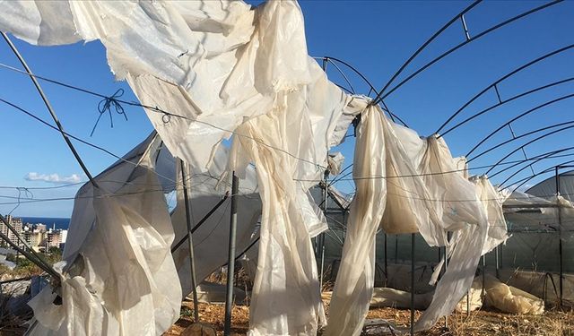 Tarım sigortaları kapsamında ekim ayında üreticilere 11,6 milyar lira hasar tazminatı ödendi