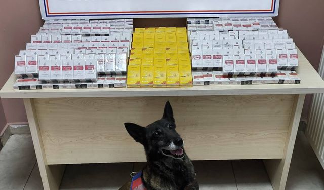 Kayseri'de 630 paket bandrolsüz kaçak sigara ele geçirildi