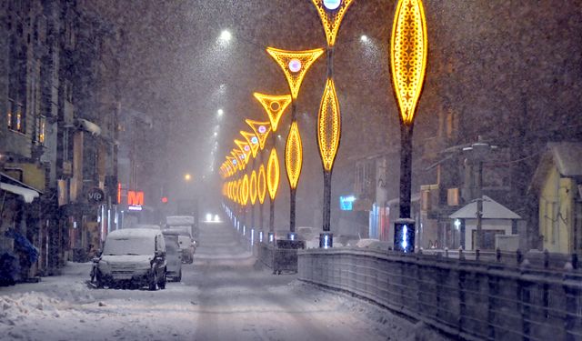 Kars'ta kar yağışı etkili oluyor