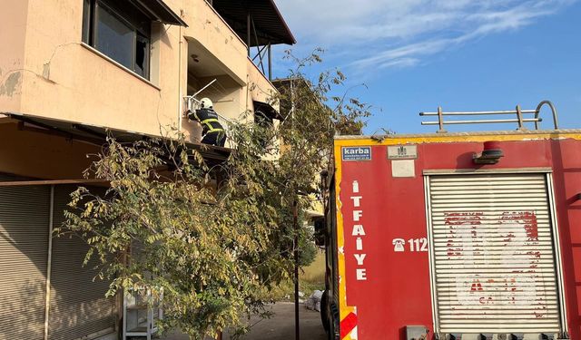 Kırıkhan’da çatıda mahsur kalan kediyi itfaiye kurtardı