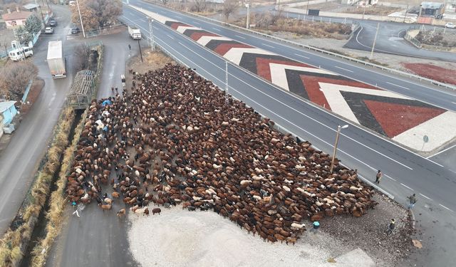Iğdırlı göçerler, zorlu yolculuğun ardından Iğdır'a ulaştı