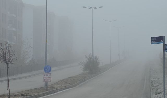 Elazığ'da yoğun sis, bir mahalle adeta kayboldu