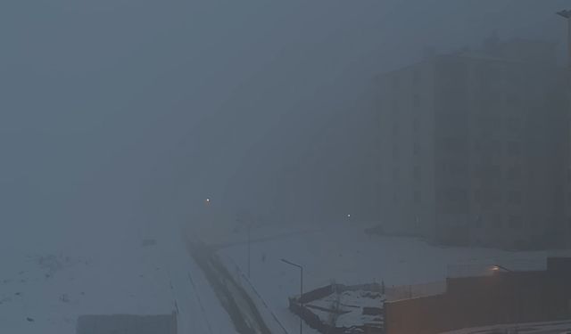 Yüksekova’da yoğun sis hayatı felç etti