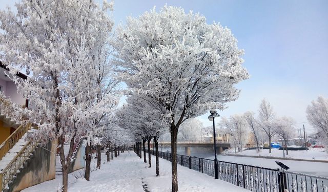 Bayburt’un Arpalı Beldesi güne kar yağışıyla uyandı