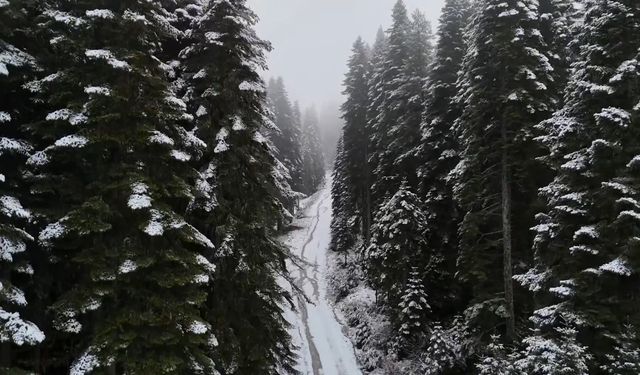 Karabük'ün yüksek kesimleri beyaza büründü