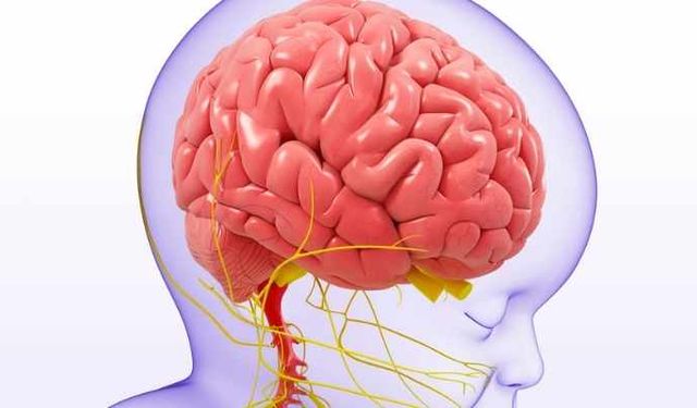 Çocukluk çağında gizli tehlike: Beyin tümörleri