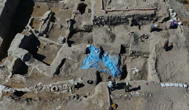 Anadolu'da 4 bin 500 yıl önce meyveler kurutularak yenmiş