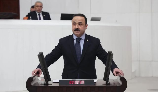 MHP'li Şanlıtürk’ten Ordu’nun turizm, ulaşım ve fındık sorunlarına acil destek çağrısı