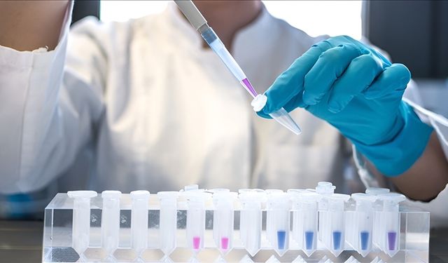 DSÖ, 2024 yılında 1,3 milyon kişinin AIDS’e yakalandığını açıkladı