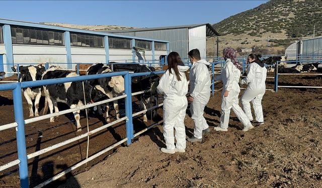 Uygulama çiftliği sahada eğitim veriyor