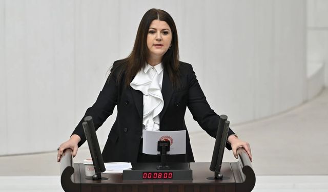 MHP'li Pelin Yılık: Herkes eşit ve kaliteli sağlık hizmetine erişmeli