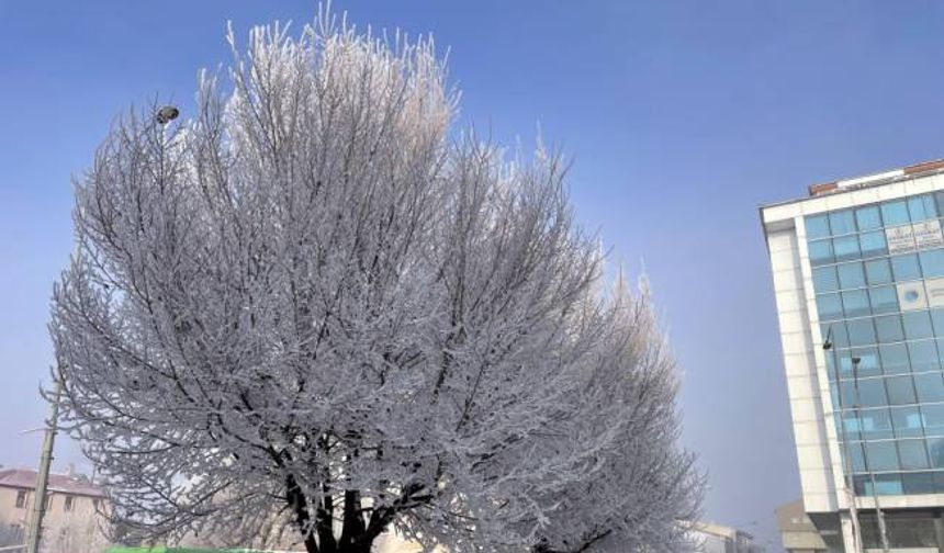 Doğu Anadolu'da en düşük sıcaklık Kars ve Ardahan'da ölçüldü