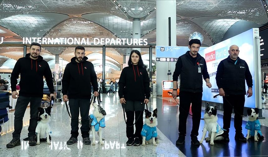 İstanbul Havalimanı'nda "terapi köpekleri" göreve başladı