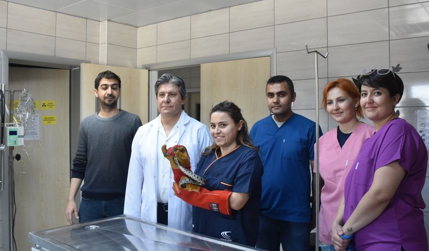Afyonkarahisar'da tedavisi tamamlanan yılan doğaya salındı