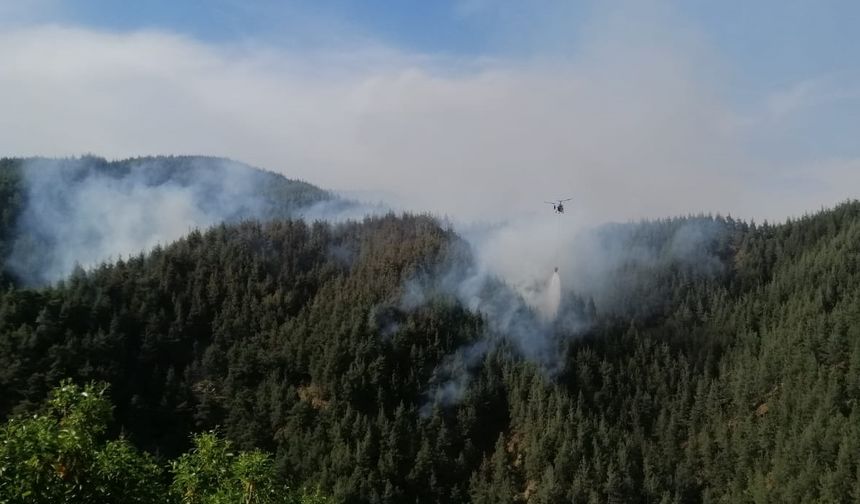 Kahramanmaraş'ta ormanlık alanda çıkan yangın kontrol altına alındı