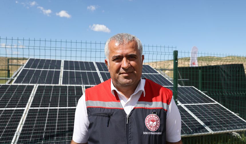 Mardin'de hayvanların otlatıldığı meralar güneş enerjisiyle suya kavuşturuluyor