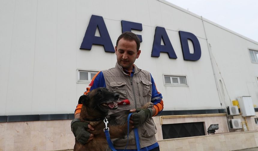 AFAD'ın Köpekli Arama Timi Çalışma ve Sınav Yönetmeliği Resmi Gazete'de