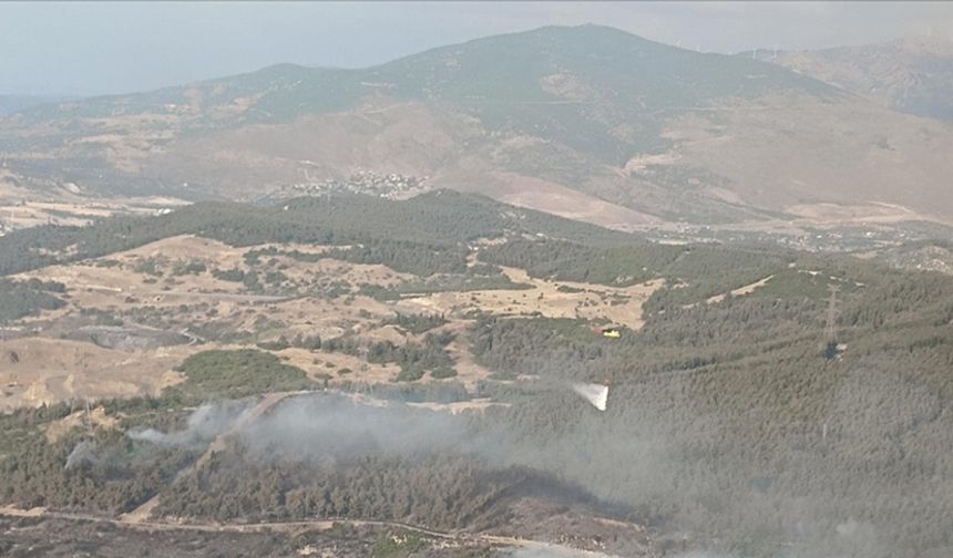 İzmir'in Aliağa ilçesinde ormanlık alanda çıkan yangına müdahale ediliyor
