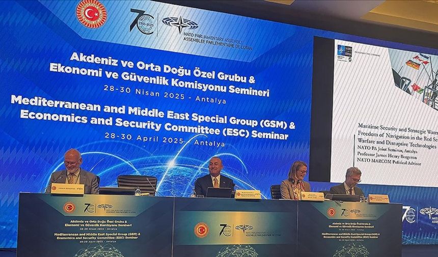 NATO Parlamenter Asamblesi 2025 Bahar Genel Kurulu Dayton'da Gerçekleştirilecek