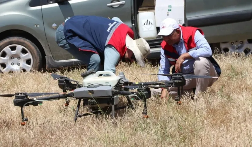 Siirt'te Çekirge Alarmı: 3 Bin Dekarlık Alanda Dronla İlaçlama Başlatıldı
