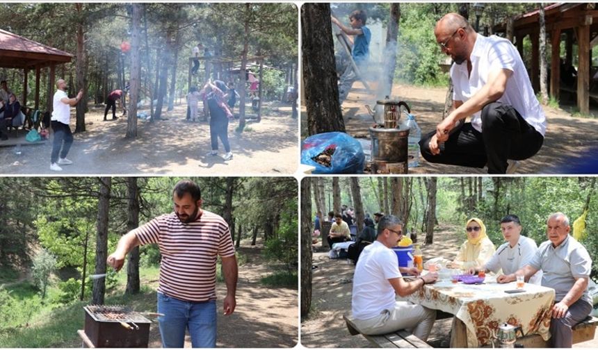 Yozgat'taki Çamlık Milli Parkı piknikçilerin uğrak noktası oldu