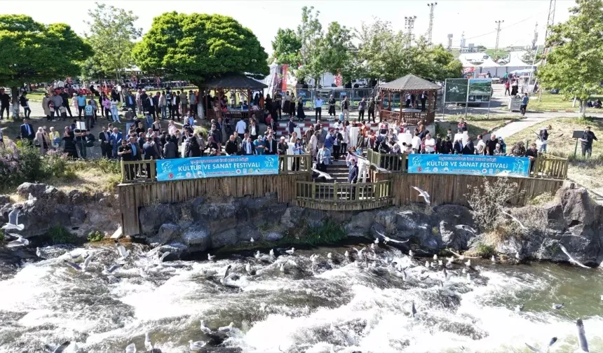 Van'da "İnci Kefali Festivali"ne 200 bini aşkın kişi katıldı