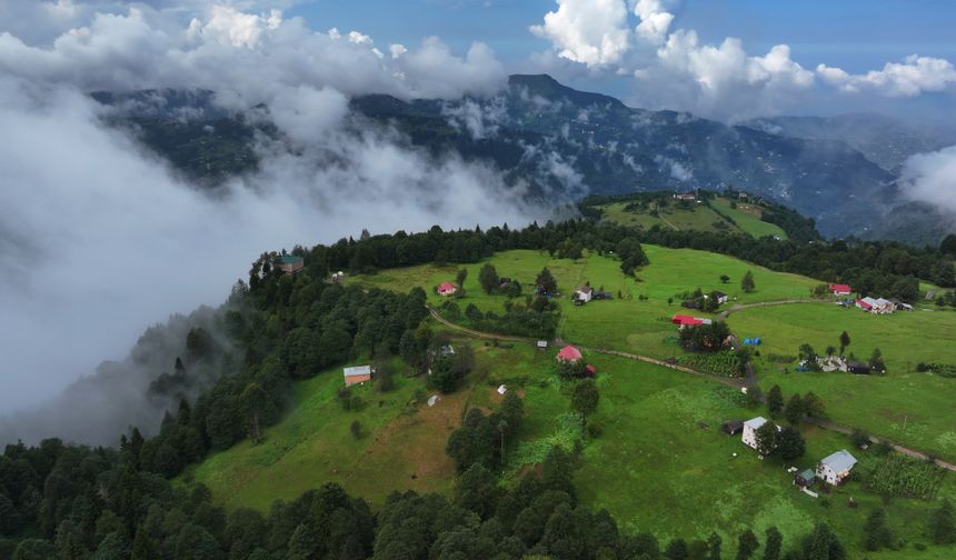 Trabzon'un yüksek kesimlerinde sis etkili oldu