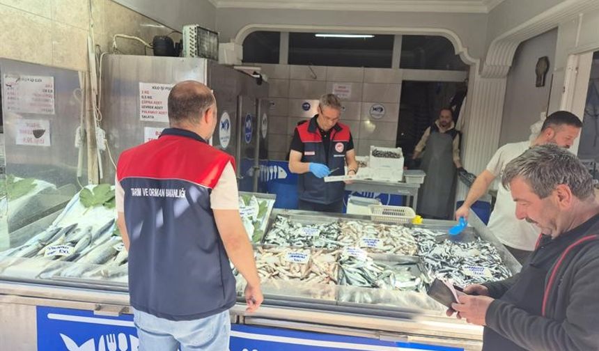 Düzce'de su ürünleri denetimi: Yasal boy altındaki 11 kasa balığa el konuldu