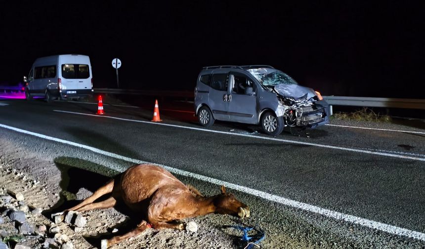 Kars'ta hayvanlara çarpan hafif ticari araçtaki 2 kişi ağır yaralandı
