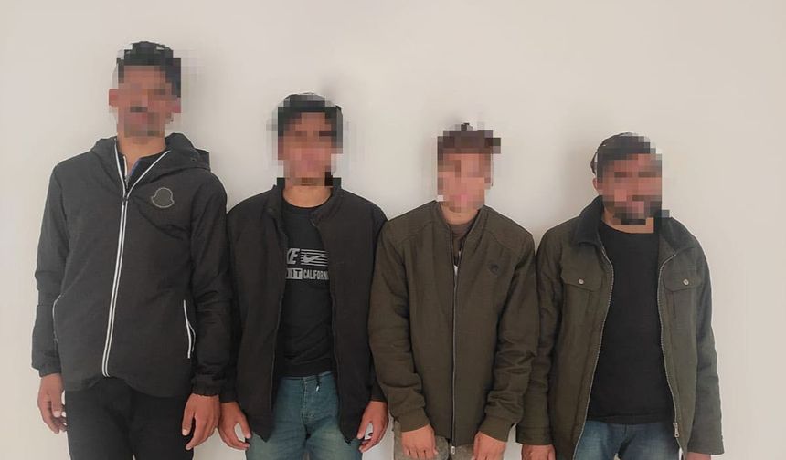 Siirt'te sahte pasaportlu 4 düzensiz göçmen yakalandı