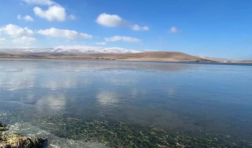 Çıldır Gölü'nün yüzeyi soğuk hava nedeniyle donmaya başladı