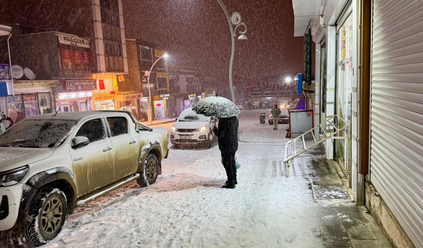 Van’da kar yağışı etkisini gösterdi