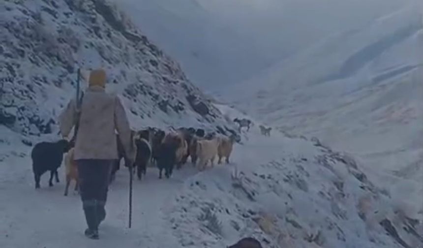 Ağrı'da kar ve tipi hayatı durdurdu: Eleşkirt'te 3 köy yolu ulaşıma kapandı